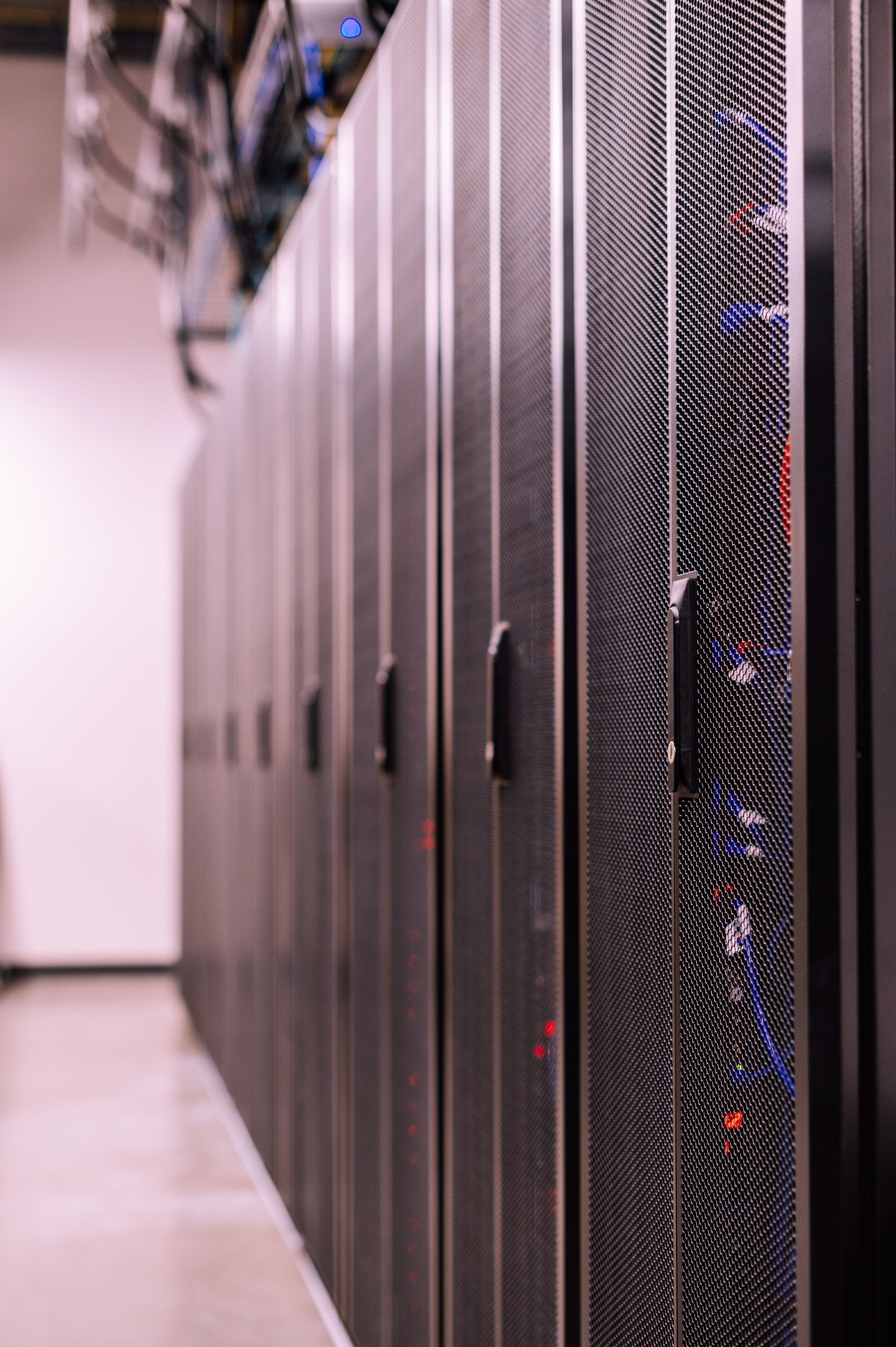 Web hosting, domain and business email services
